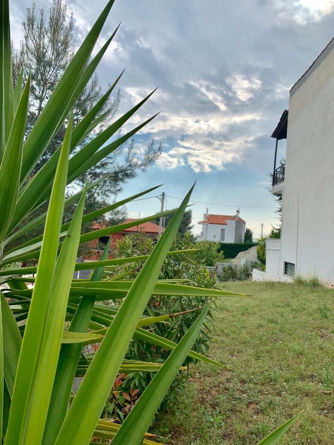 Summer Luxury Villa With Sea View ميتامورفوسي المظهر الخارجي الصورة